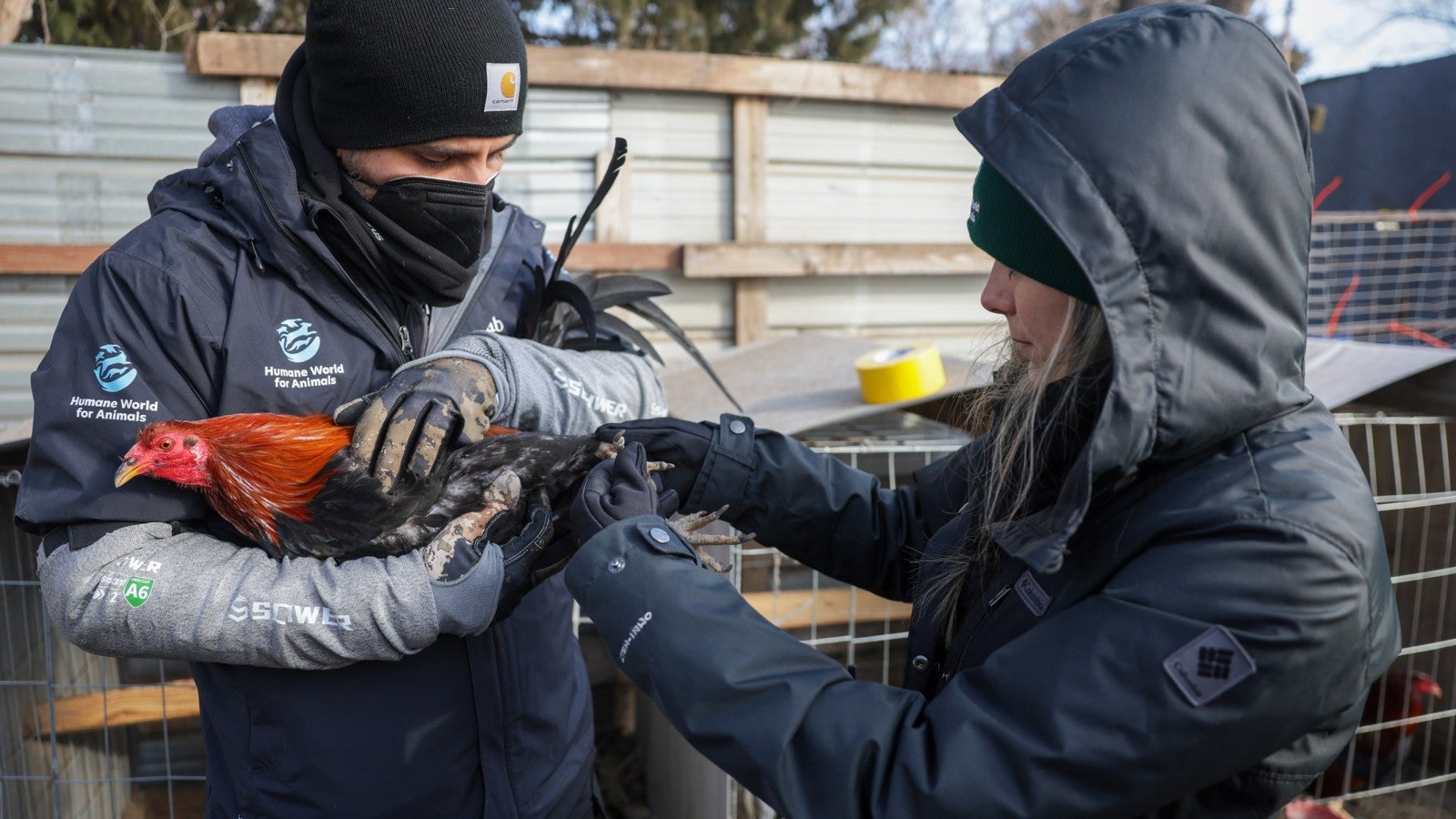 0E2A2846 Mike Simons.JPG?h=